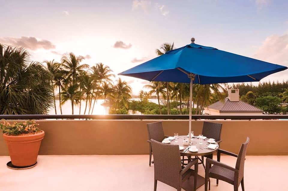Outdoor dining table with blue umbrella overlooking palm trees and waterfront at sunset