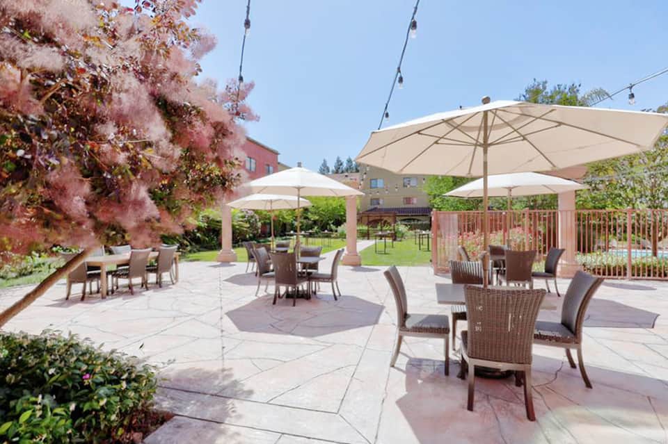 Outdoor patio with multiple umbrellas and wicker chairs surrounded by landscaping
