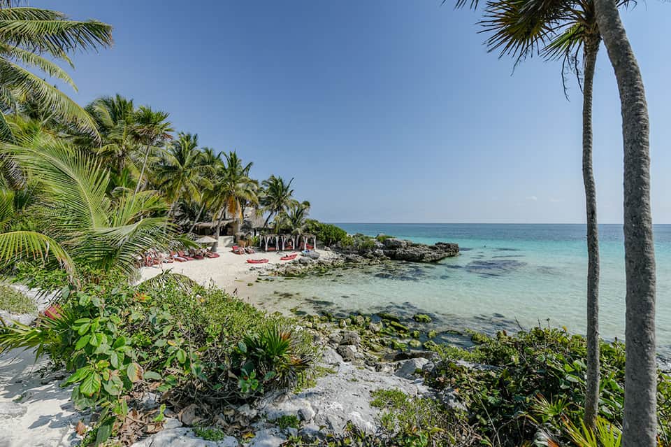 Coastal beach scene with palm trees, white sand, and clear turquoise water