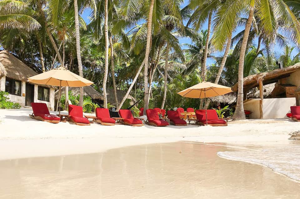 Beachfront lounge area with red cushioned chairs, umbrellas, and palm trees