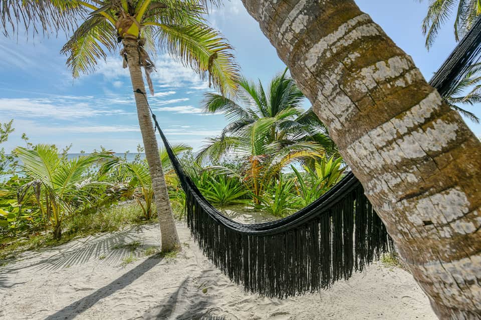 Black fringe hammock hung between palm trees on sandy beach with tropical vegetation and ocean view