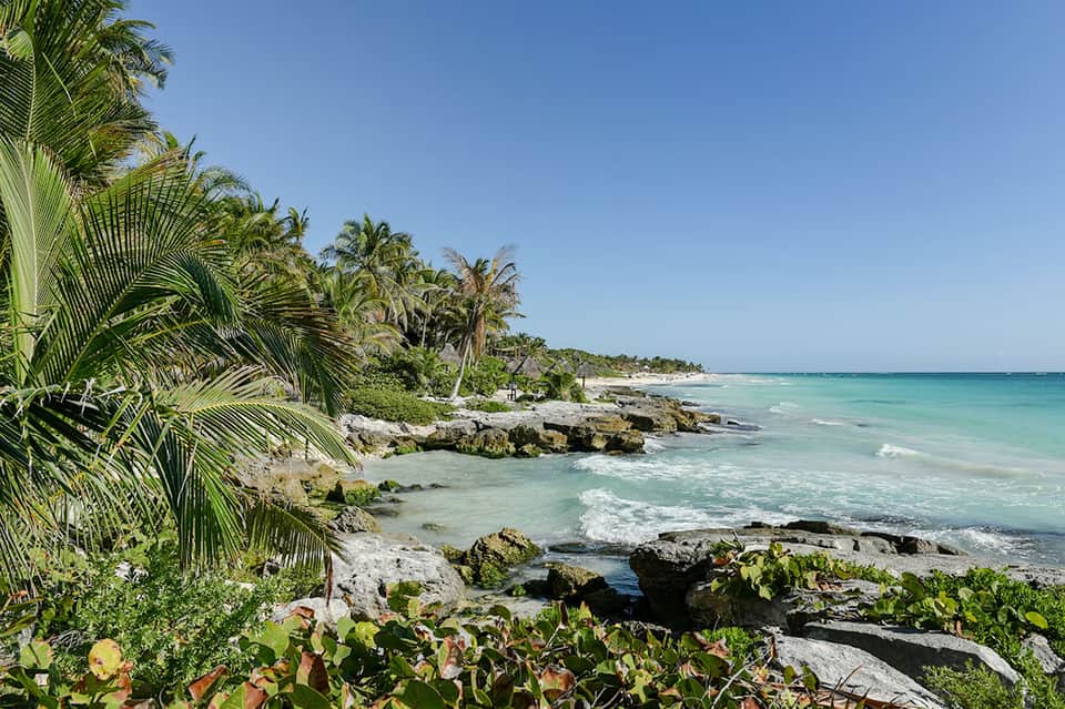 Tropical beach with palm trees, rocky shoreline, and turquoise ocean waves