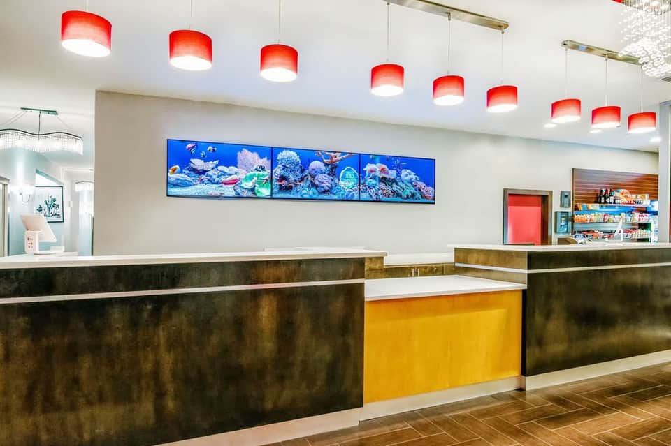 Modern hotel reception desk with coral pendant lights and coral reef artwork