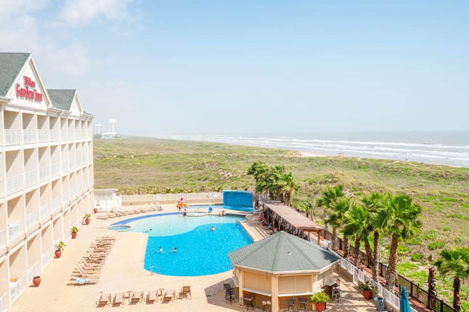 Beachfront resort with curved pool, palm trees, and ocean view with lifeguard tower