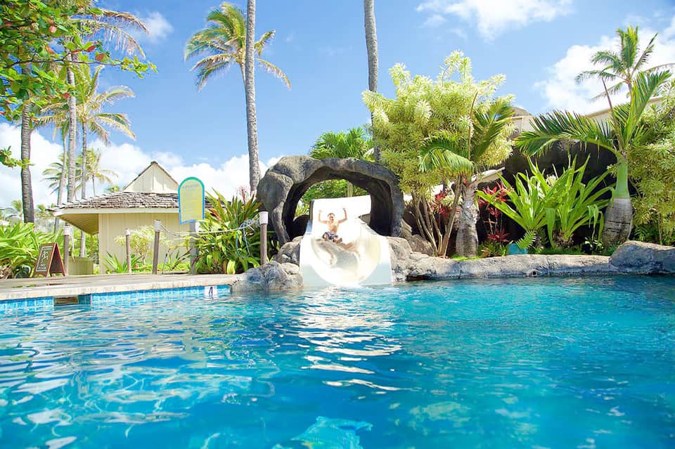 Tropical waterpark with white water slide, rock features, palm trees, and clear blue pool water
