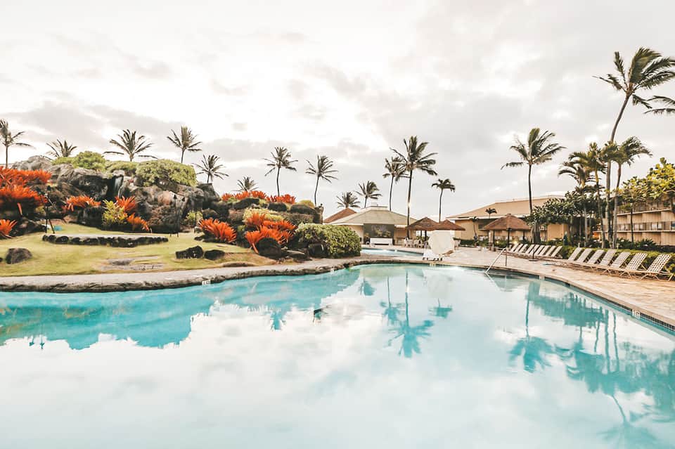 Resort pool with tropical palm trees, orange flowers, lounge chairs, and beachfront view.
