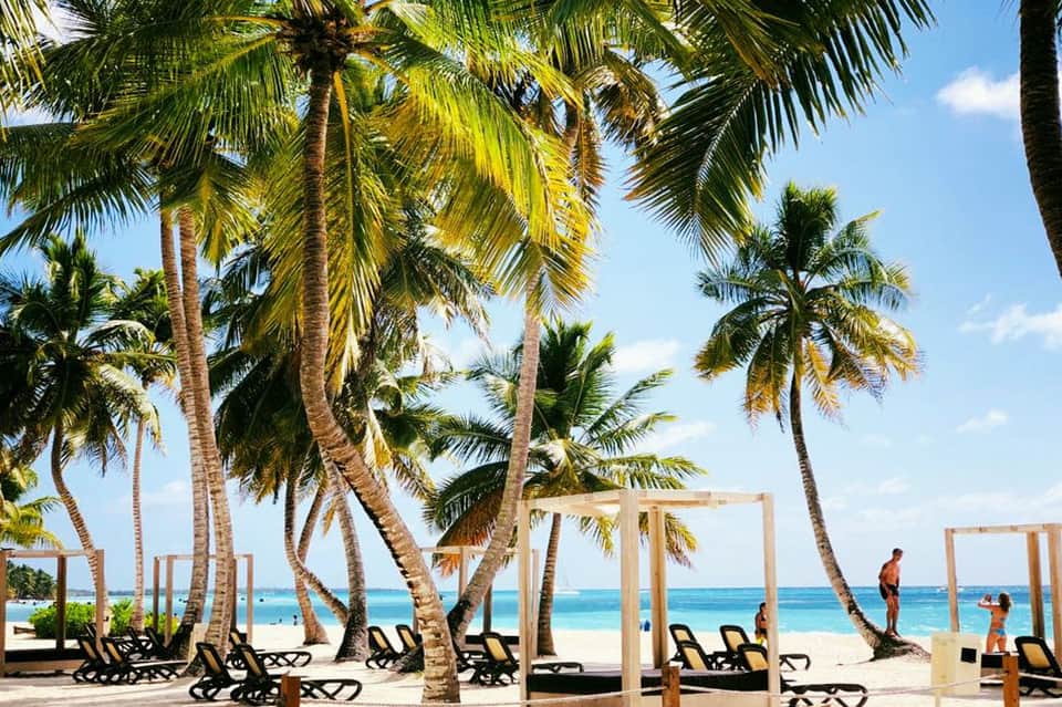 Tropical beach resort with palm trees, wooden shade structures, lounge chairs, and ocean views under blue sky