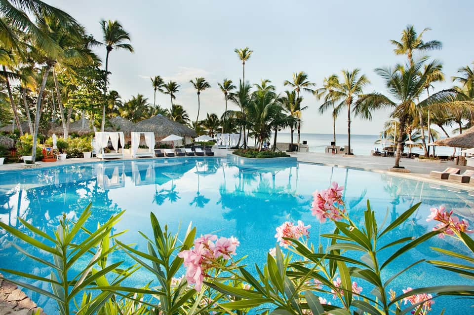 Tropical beachfront resort pool with palm trees, thatched umbrellas, and ocean view in background
