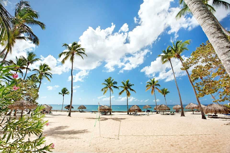 Tropical beach with palm trees, thatched umbrellas, and calm turquoise ocean water under blue sky