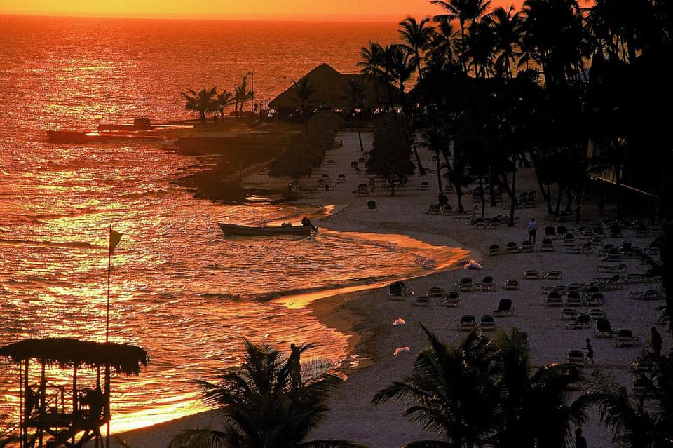 Beach sunset with golden-orange sky, palm trees, and lounge chairs silhouetted along shoreline