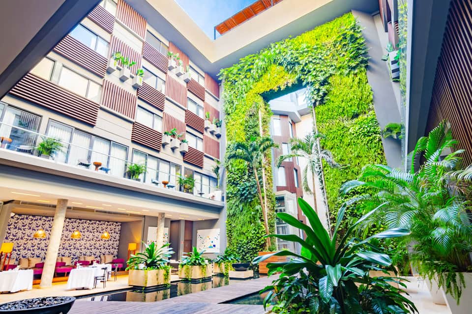 Modern resort courtyard with vertical green wall installations and contemporary architecture