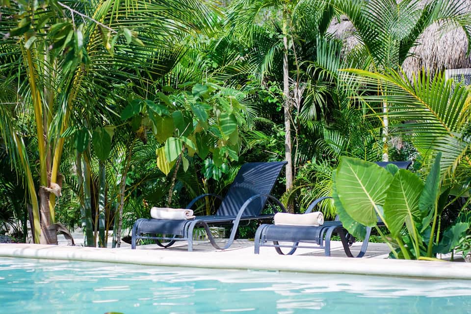 Tropical pool area with lounge chairs surrounded by lush palm trees and green foliage
