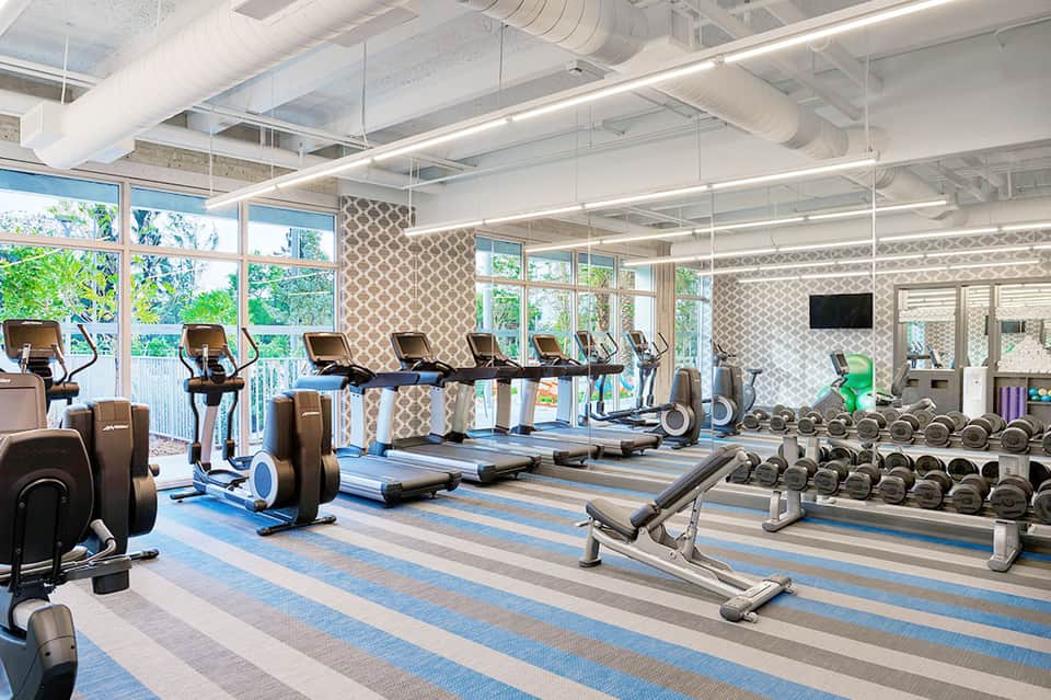 Modern gym interior with cardio equipment and large windows