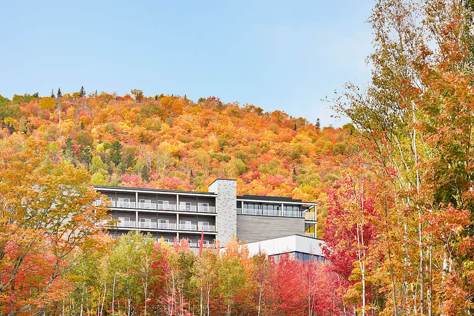 Contemporary hotel nestled in vibrant autumn forest with fall foliage backdrop