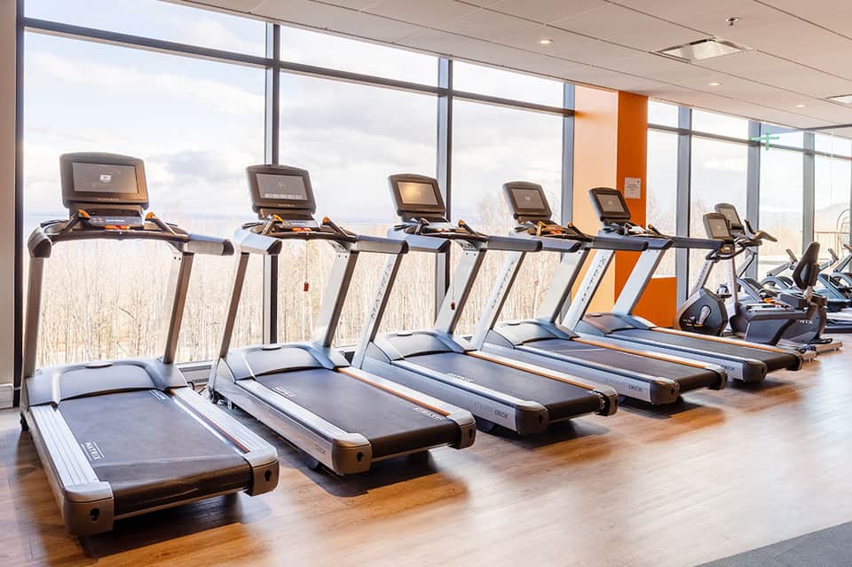 Modern gym with row of treadmills facing floor-to-ceiling windows overlooking bare trees and landscape