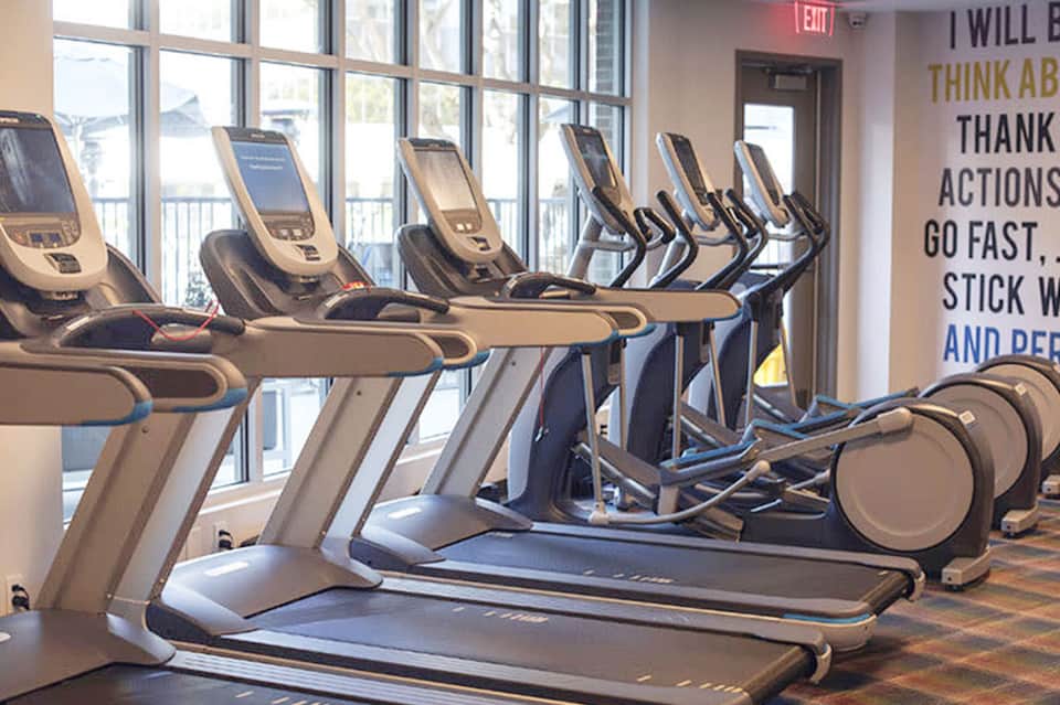 Fitness center with rows of treadmills facing large windows and motivational wall text