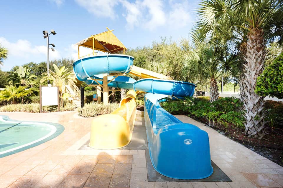 Water slide park with blue slides and palm trees in sunny outdoor setting