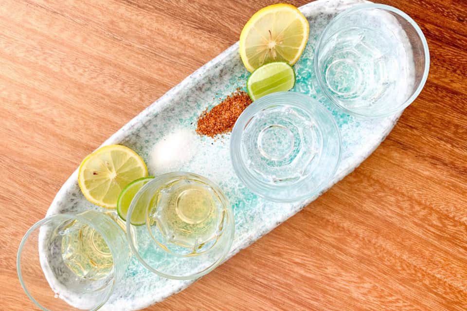 Overhead view of cocktails with lemon and lime slices on a decorative serving tray