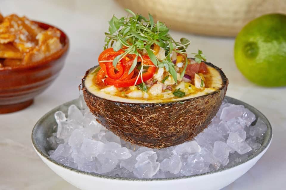 Gourmet appetizer served in a coconut shell on ice with microgreens and red pepper garnish