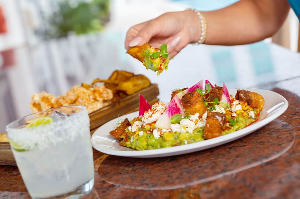 Hand holding fresh guacamole over a plated dish with fried tortilla strips and fresh herbs