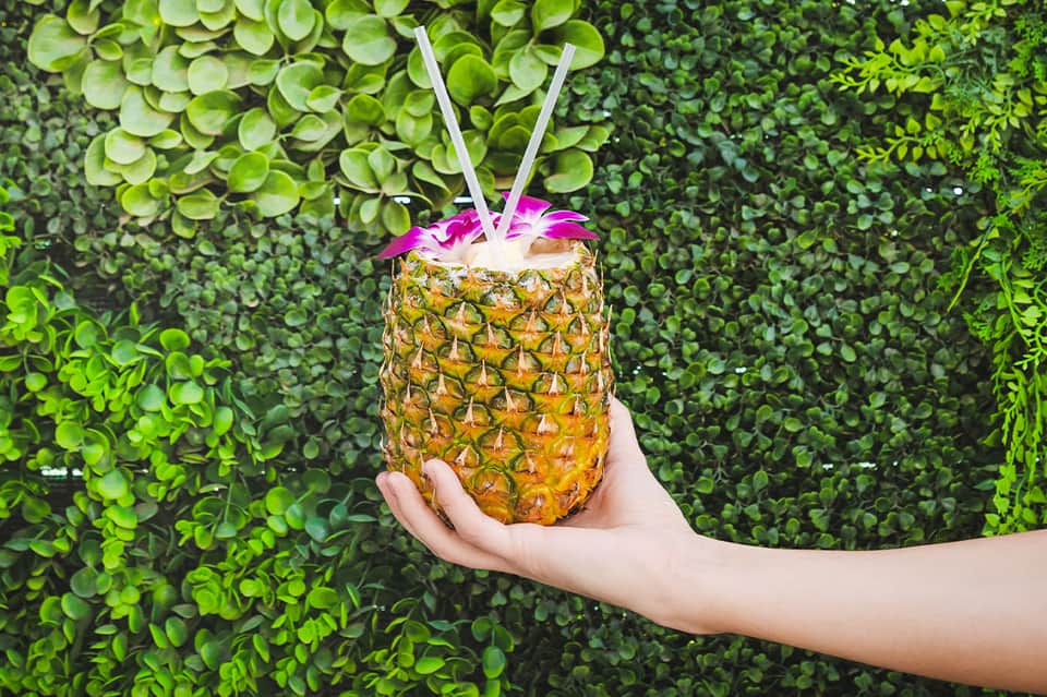 Tropical pineapple drink with pink flower and white straws held against green foliage backdrop