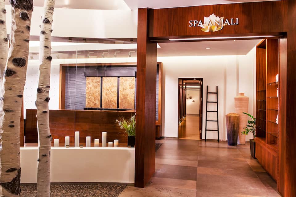 Spa Anjali entrance with wooden signage, white birch trees, and minimalist wellness facility design