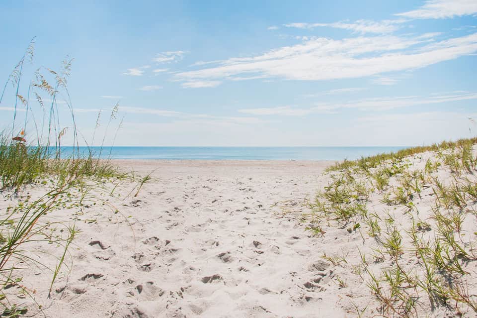 Serene sandy beach with beach grass dunes and calm blue ocean horizon under clear sky