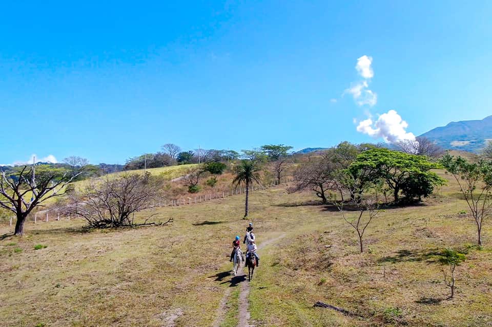 Two people horseback riding on a grassy hillside with scattered trees and mountains