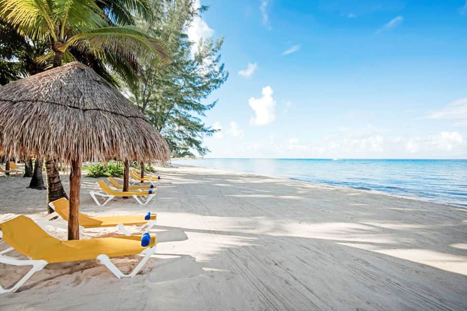 Sandy beach with yellow lounge chairs under thatched umbrella and palm trees