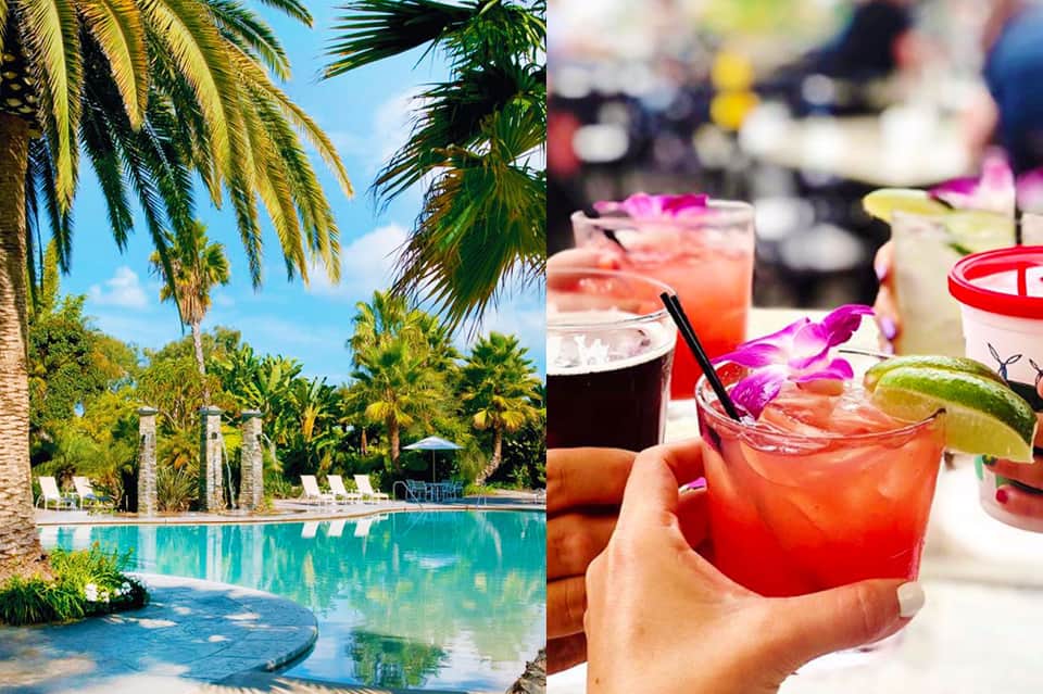 Tropical resort pool with palm trees and colorful cocktails being served poolside