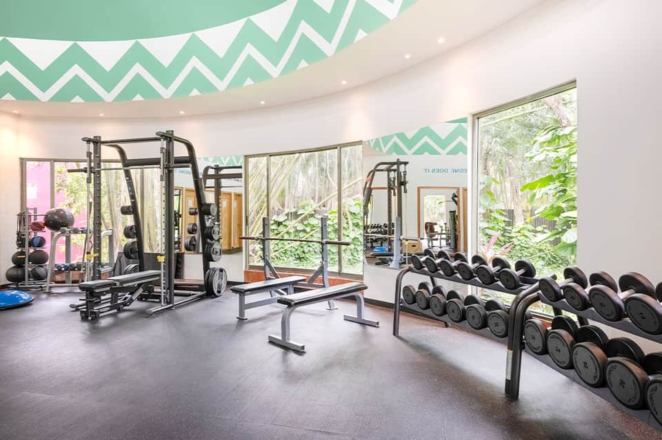 Modern gym with weight equipment, dumbbells, exercise machines, and large windows overlooking greenery