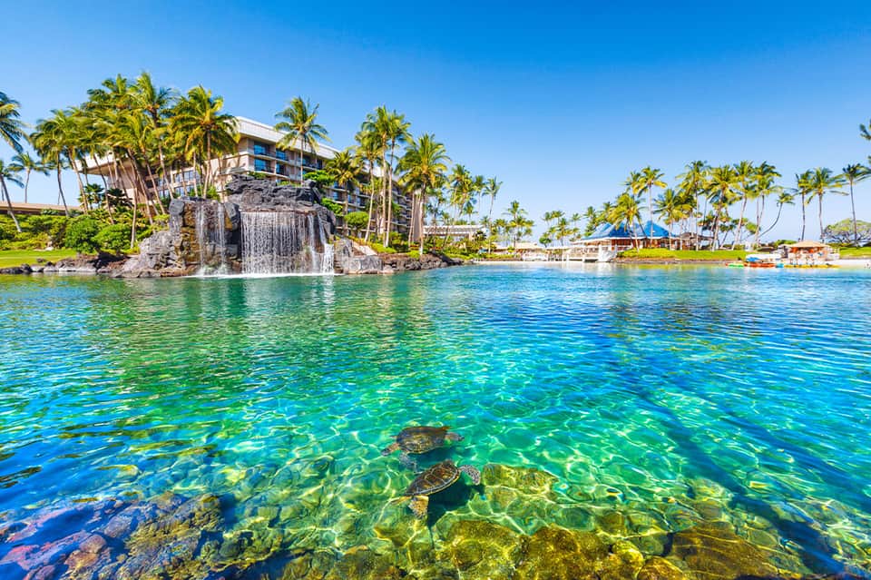 Tropical resort with waterfall feature, palm trees, and crystal-clear ocean water