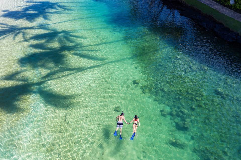 Two snorkelers in crystal-clear turquoise water with palm tree shadows visible