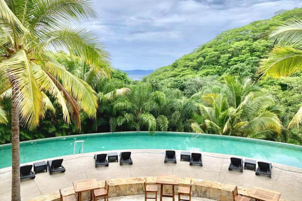 Curved swimming pool surrounded by lush tropical vegetation and palm trees with ocean view