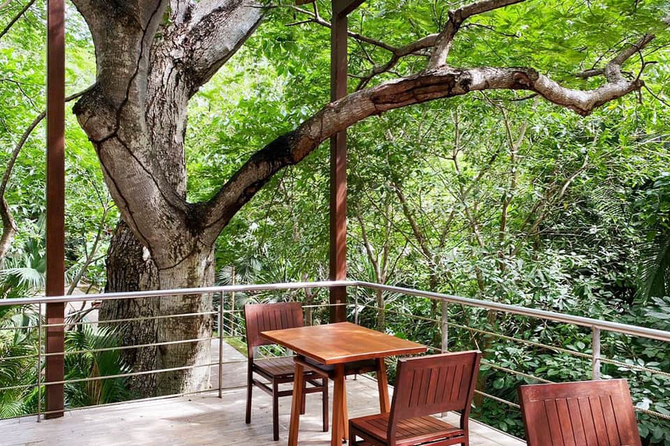 Outdoor dining area nestled in lush green forest with wooden table, chairs, and metal railing on elevated deck