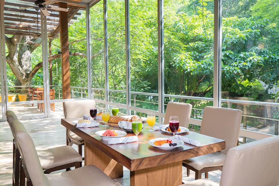 Modern dining room with floor-to-ceiling windows overlooking lush green forest
