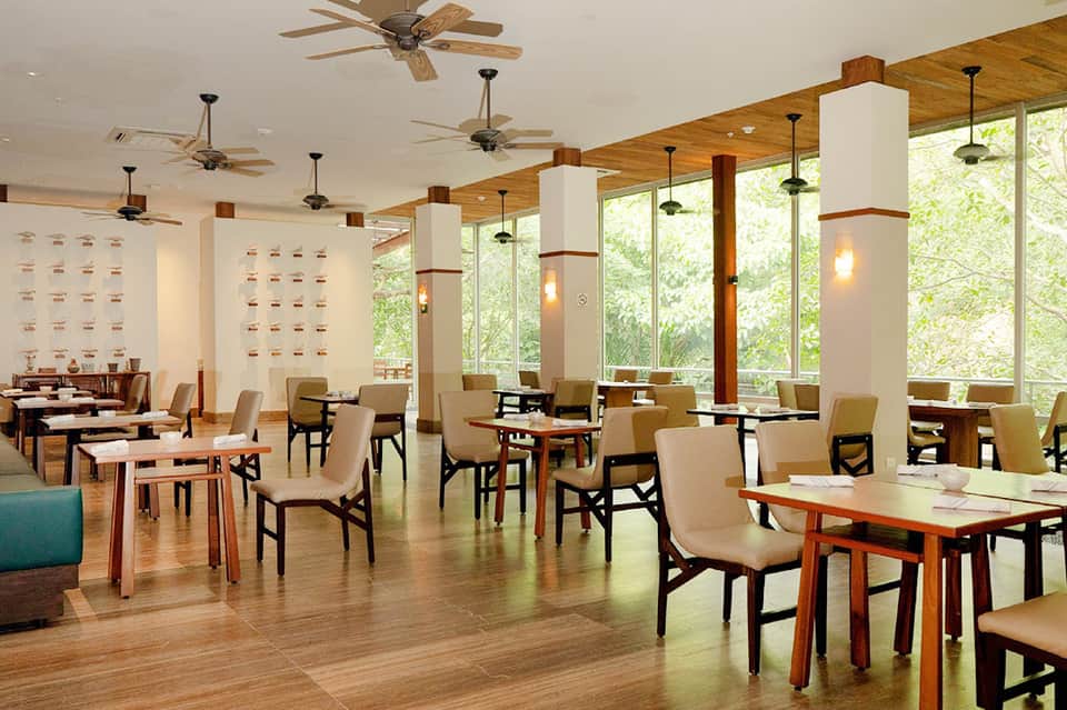 Contemporary dining space with wooden tables, beige chairs, ceiling fans, and floor-to-ceiling windows