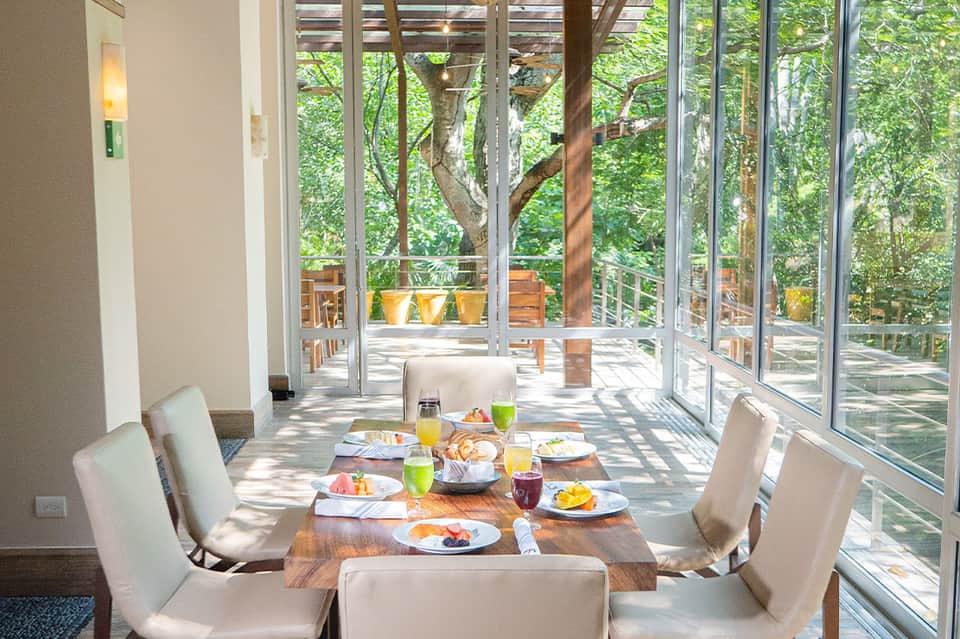Dining room with large windows overlooking forest deck, wooden table, and natural sunlight