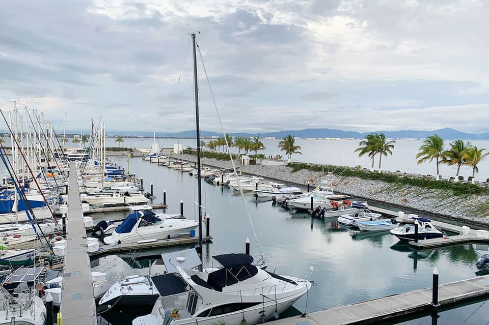 Marina with white sailboats docked at slips, palm trees, and mountains visible across the bay