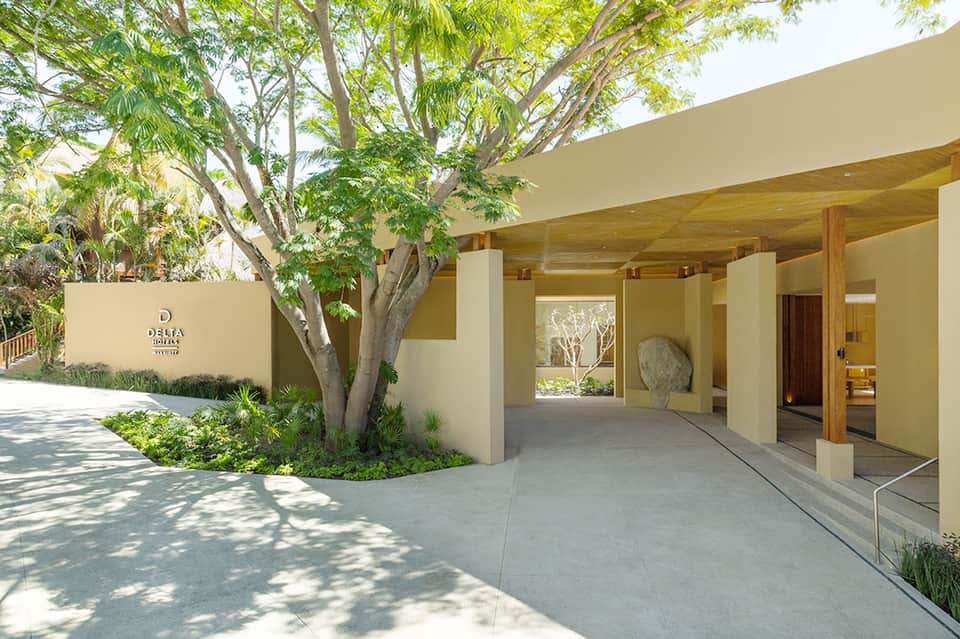 Beige hotel entrance with wooden ceiling, large tree, and minimalist architectural design