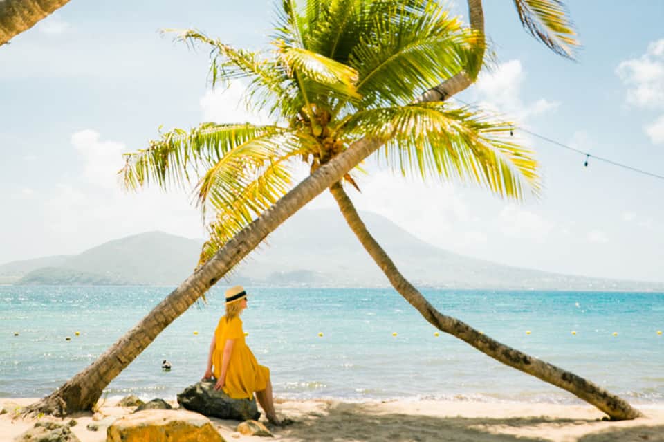 Person in yellow shirt sitting under palm tree on sandy beach with ocean and mountains