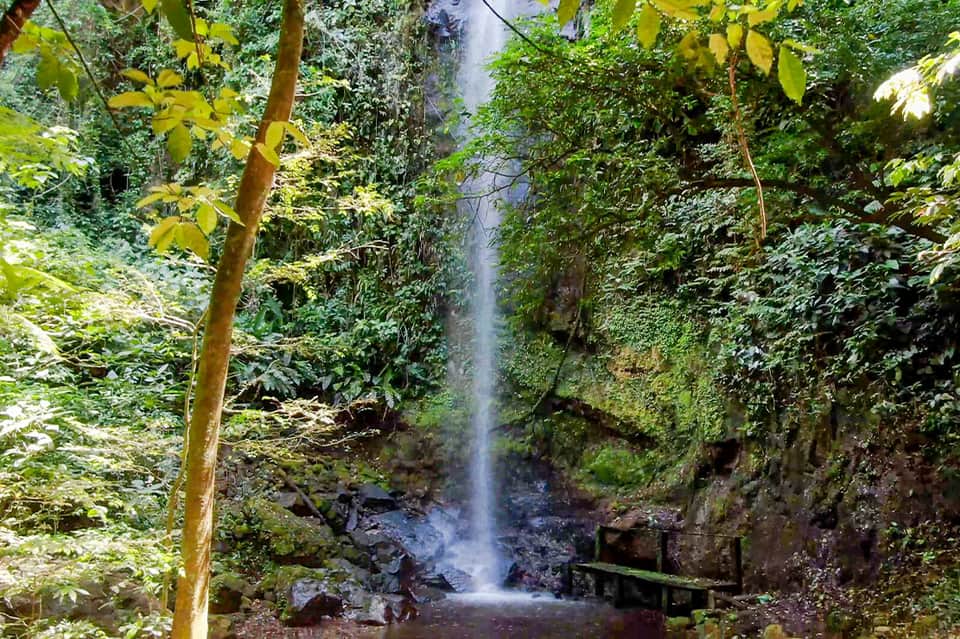 Waterfall cascading into a rocky stream surrounded by dense tropical jungle foliage