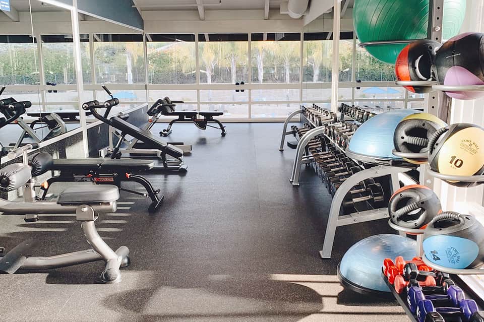 Modern fitness center with cardio equipment, dumbbells, and large windows overlooking grounds