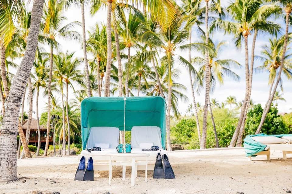Beachfront cabana with turquoise canopy and white loungers on sandy beach surrounded by tall palm trees.