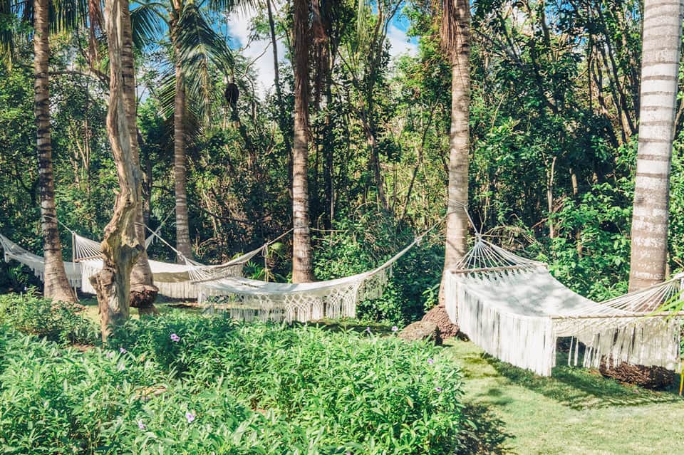White hammocks strung between palm trees in lush tropical jungle setting