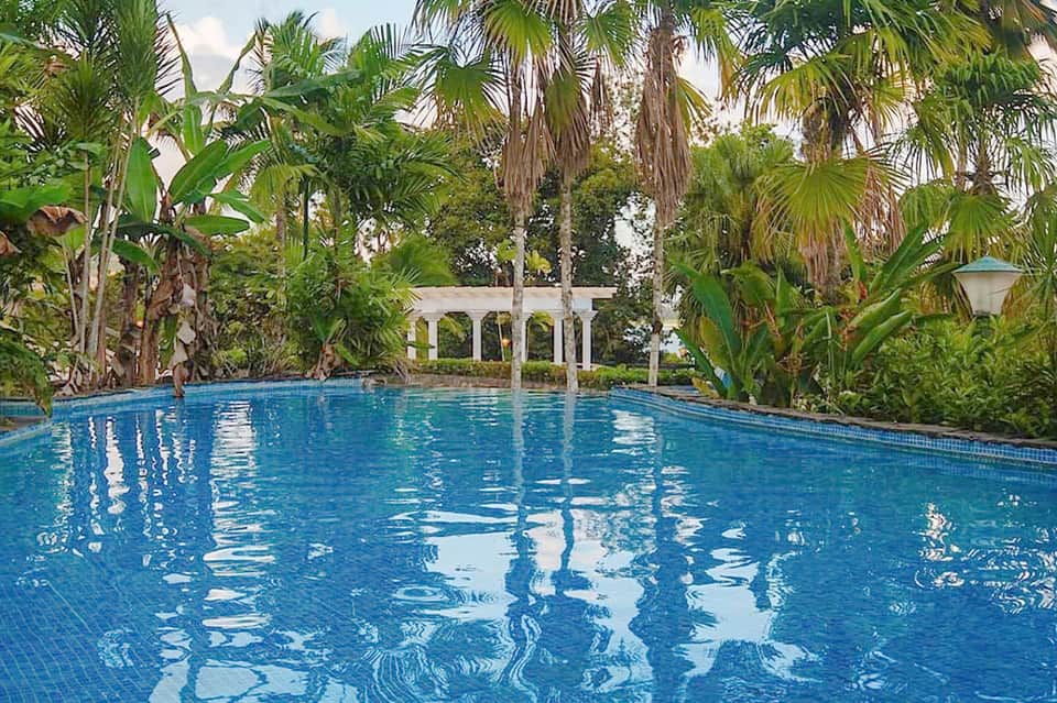 Rectangular pool surrounded by tropical palm trees with white pergola structure and lush green landscaping
