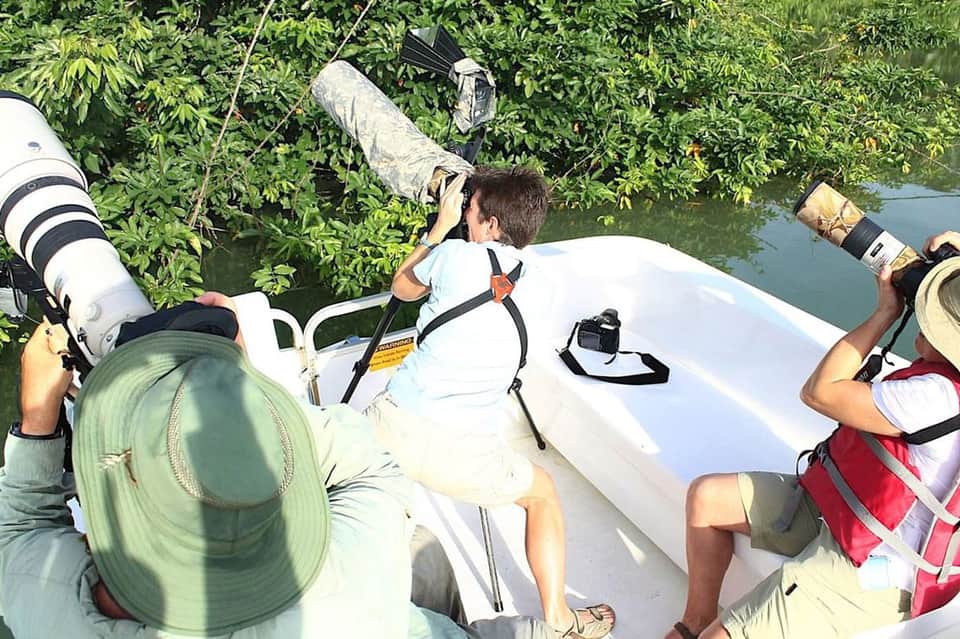 Wildlife photographers in boat with telephoto lenses documenting birds in mangrove vegetation