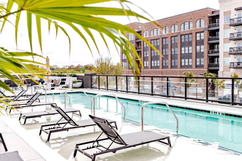 Rooftop pool overlooking brick buildings with lounge chairs and palm fronds in urban setting
