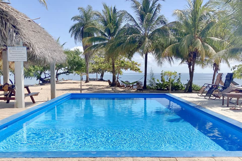 Beachfront pool with blue water, palm trees, and ocean view with lounge chairs on the deck