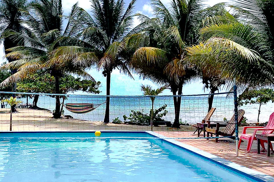 Resort pool surrounded by palm trees with hammocks and ocean view in background